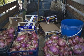 Immagine allegata alla scheda. Per averne una descrizione leggere i dettagli più in basso.